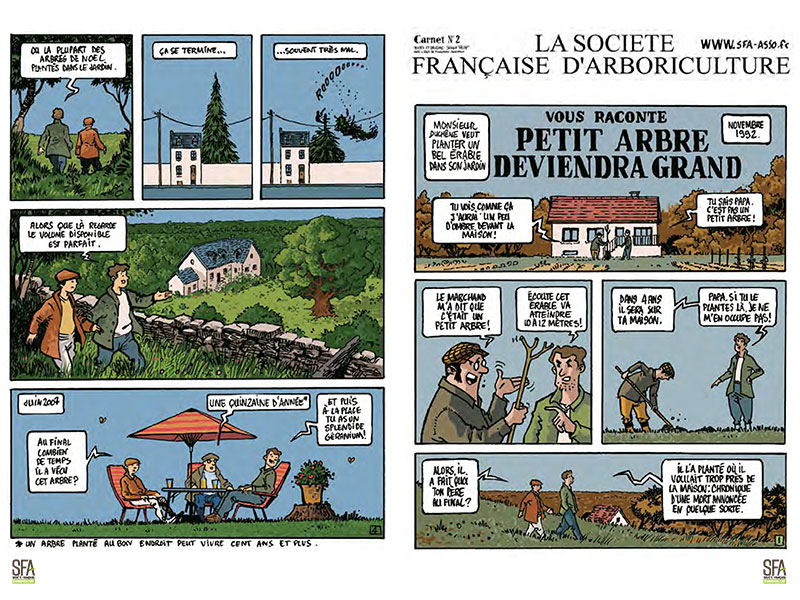 Bande-Dessinee-Le-bon-arbre-SFA-2021-1