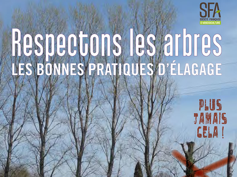 Plaquette-sur-le-respect-des-arbres-SFA-2021-1