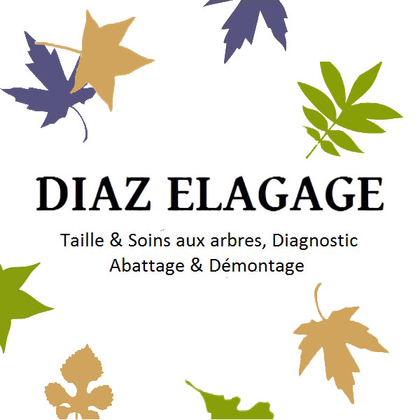 logo-diaz-2